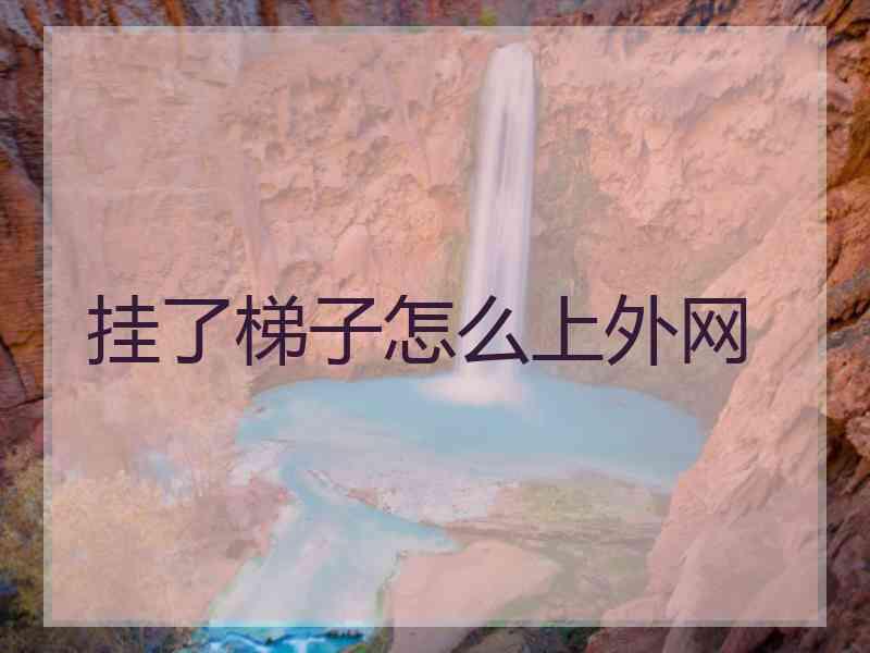 挂了梯子怎么上外网