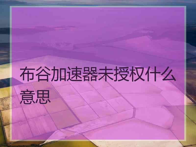 布谷加速器未授权什么意思
