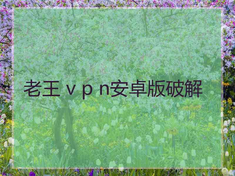 老王 v p n安卓版破解