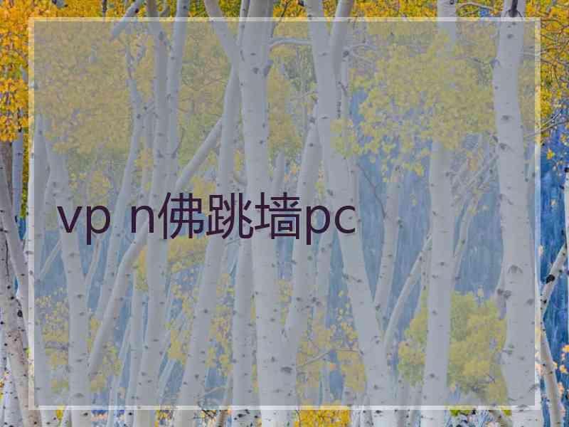 vp n佛跳墙pc