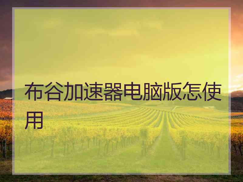 布谷加速器电脑版怎使用