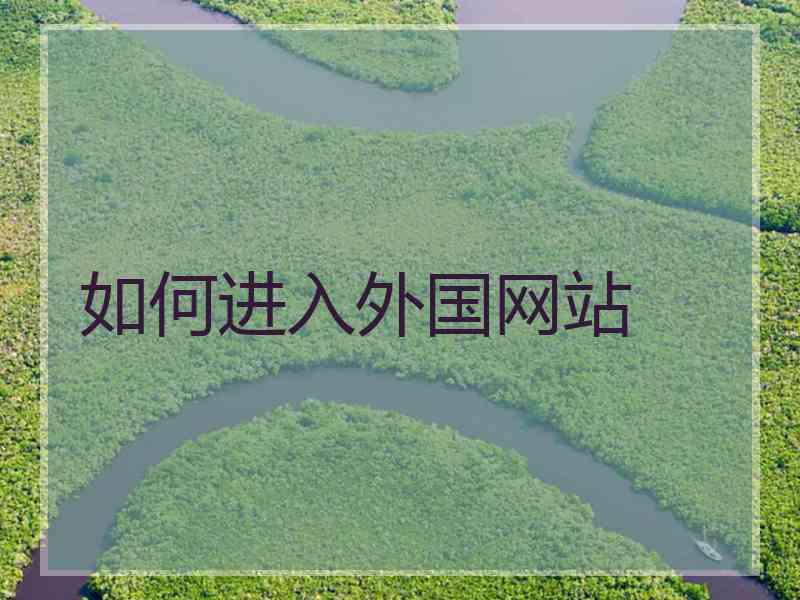 如何进入外国网站