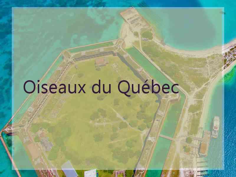 Oiseaux du Québec