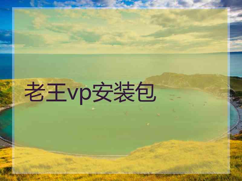 老王vp安装包