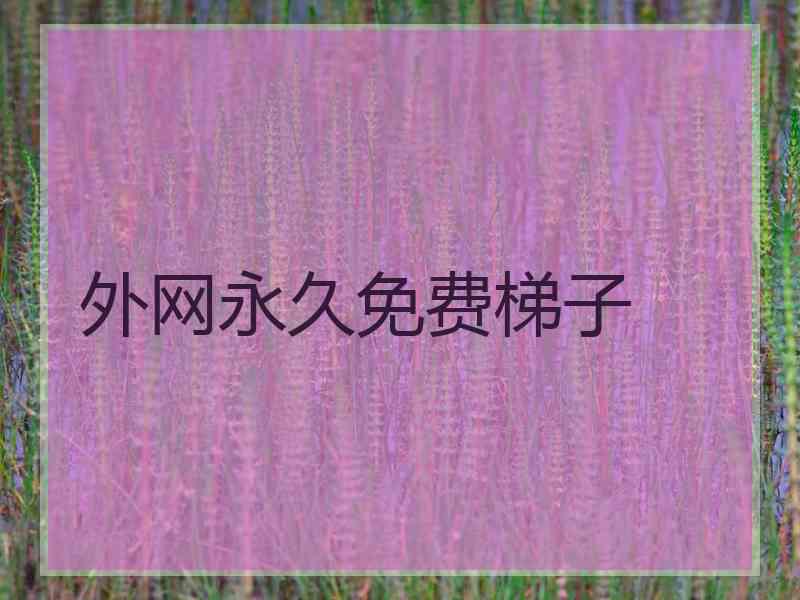 外网永久免费梯子
