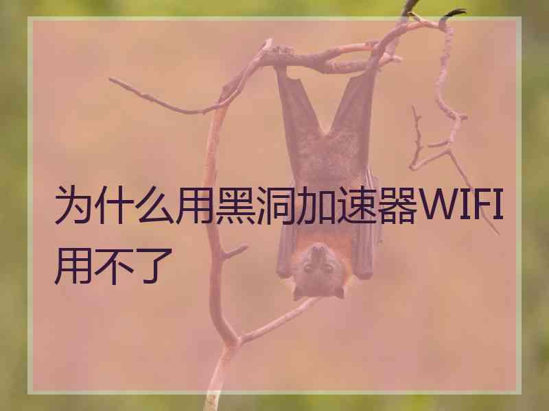 为什么用黑洞加速器WIFI用不了