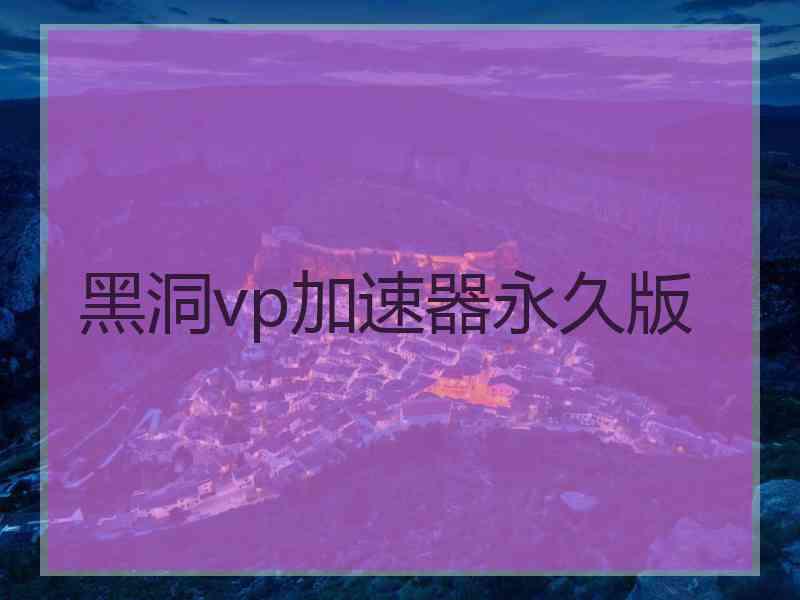 黑洞vp加速器永久版