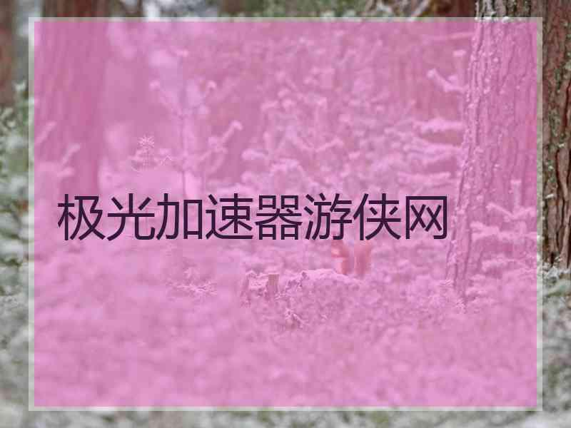 极光加速器游侠网
