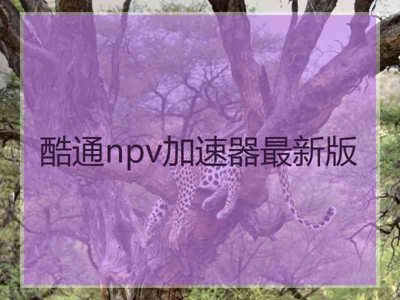 酷通npv加速器最新版