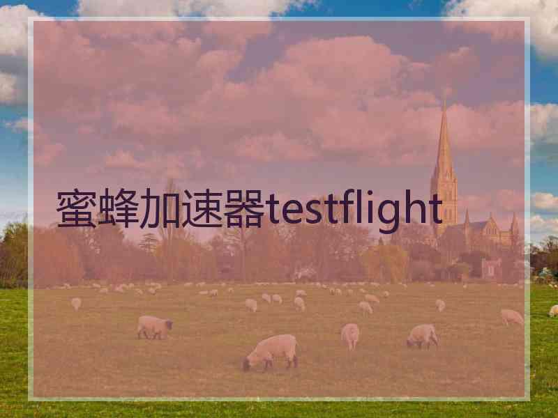 蜜蜂加速器testflight