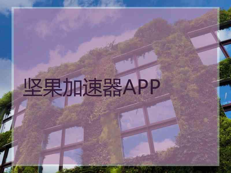 坚果加速器APP