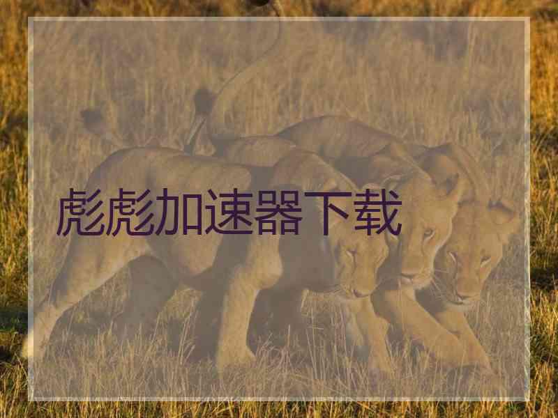 彪彪加速器下载