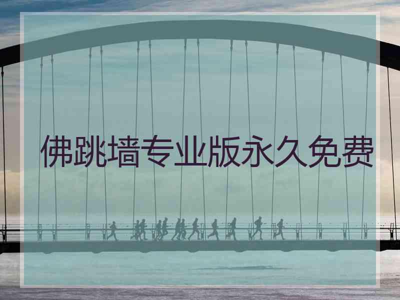 佛跳墙专业版永久免费