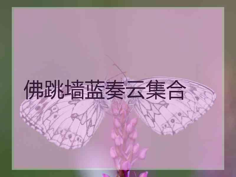 佛跳墙蓝奏云集合