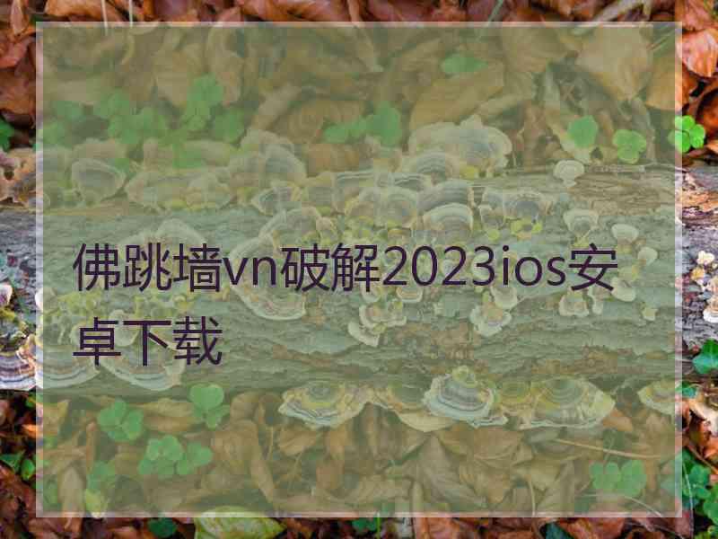 佛跳墙vn破解2023ios安卓下载