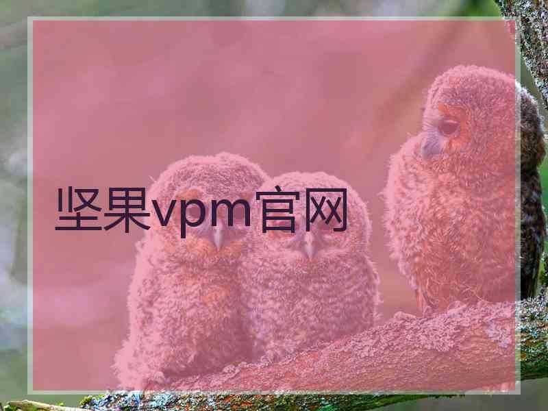 坚果vpm官网