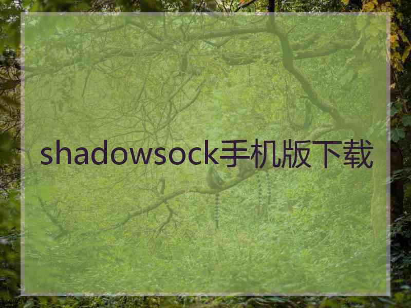 shadowsock手机版下载