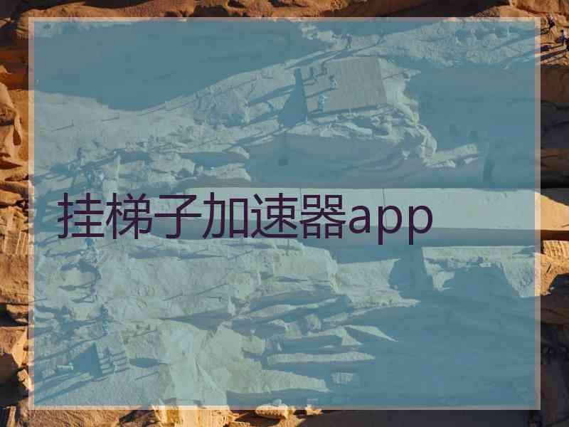 挂梯子加速器app