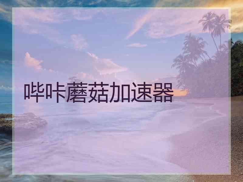 哔咔蘑菇加速器