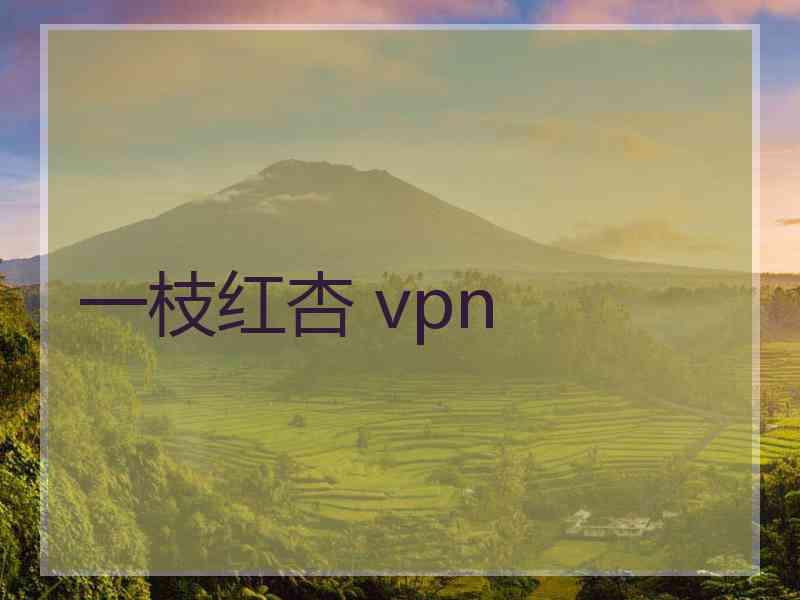 一枝红杏 vpn