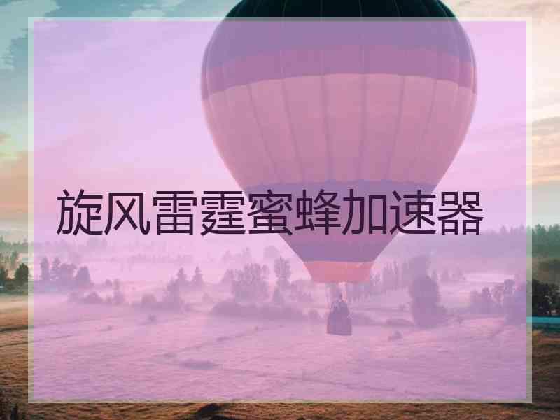 旋风雷霆蜜蜂加速器