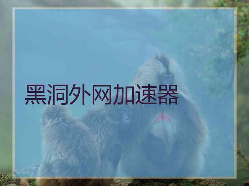 黑洞外网加速器