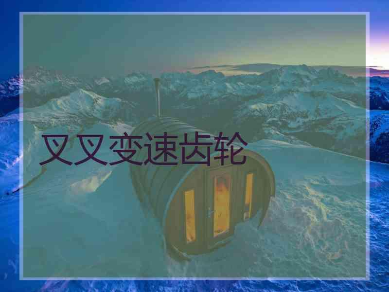 叉叉变速齿轮