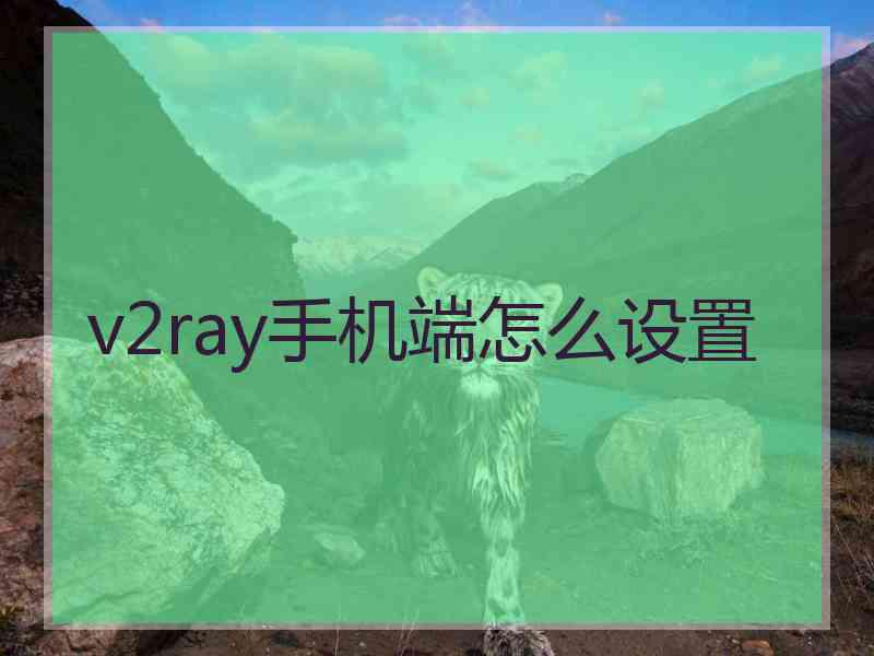 v2ray手机端怎么设置