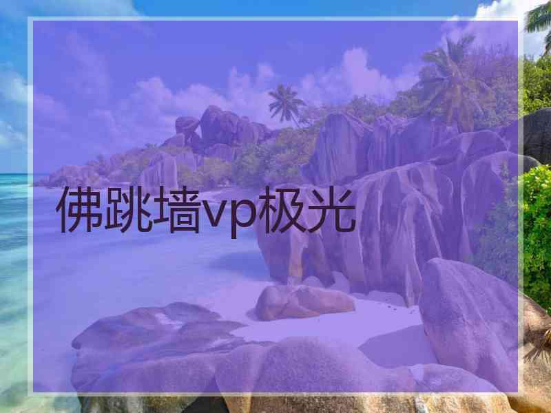 佛跳墙vp极光