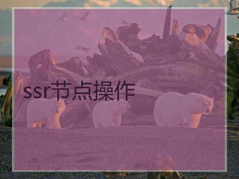 ssr节点操作