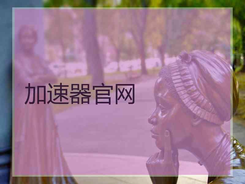 加速器官网