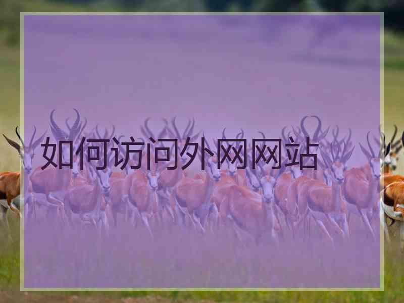 如何访问外网网站
