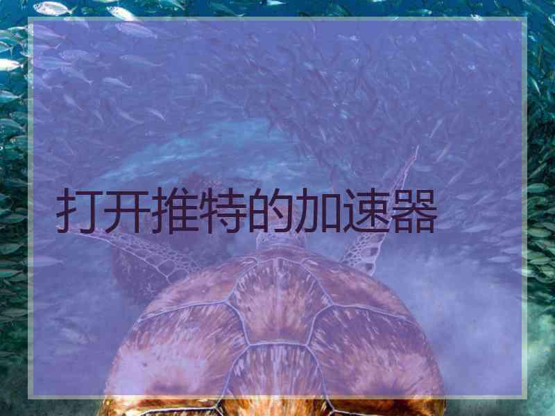 打开推特的加速器