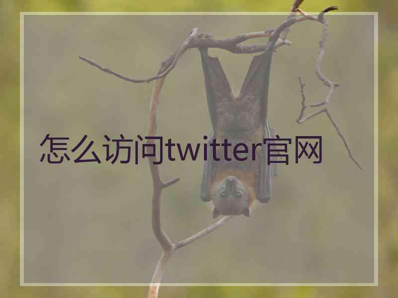 怎么访问twitter官网