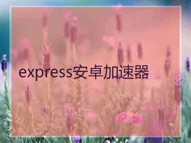 express安卓加速器