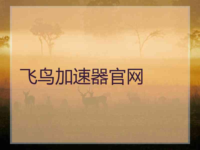 飞鸟加速器官网