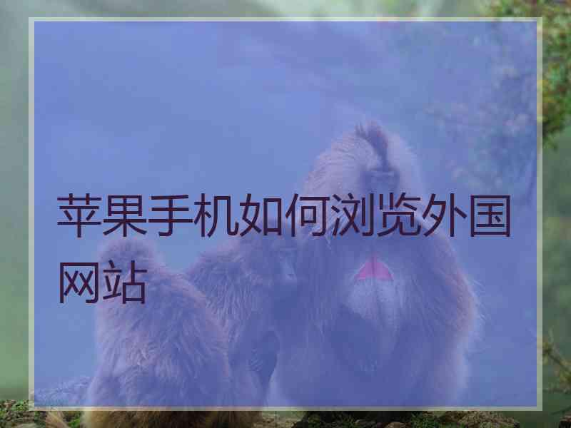 苹果手机如何浏览外国网站