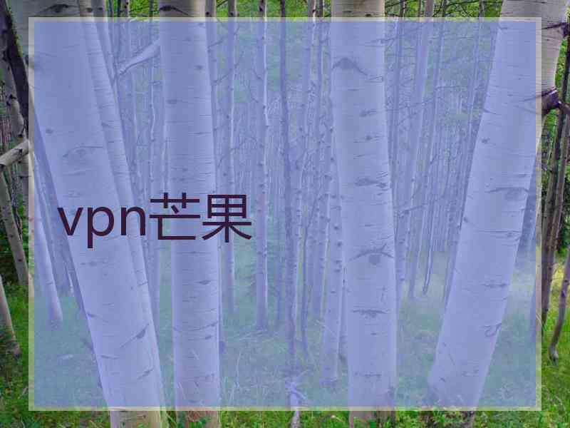 vpn芒果