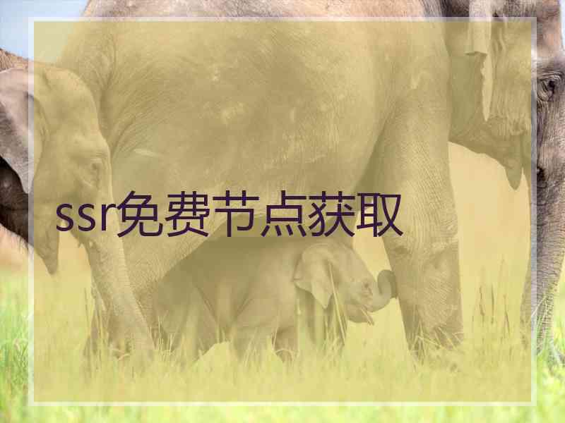 ssr免费节点获取
