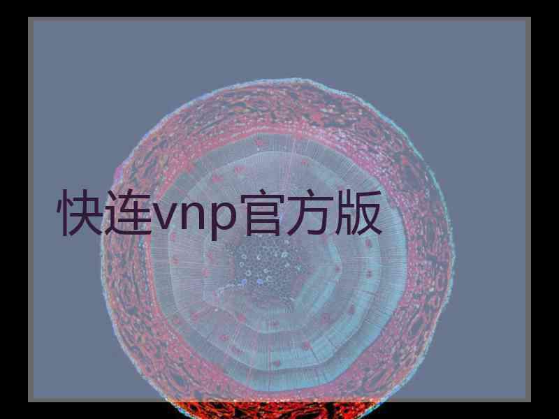 快连vnp官方版