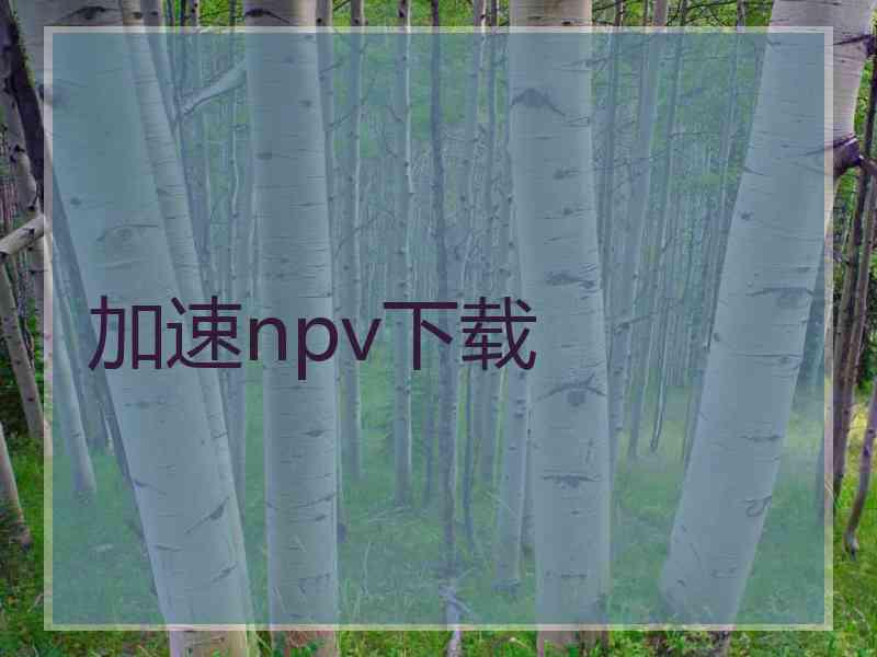 加速npv下载