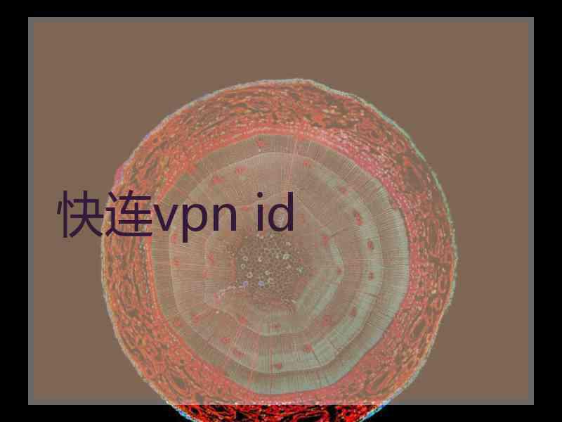 快连vpn id