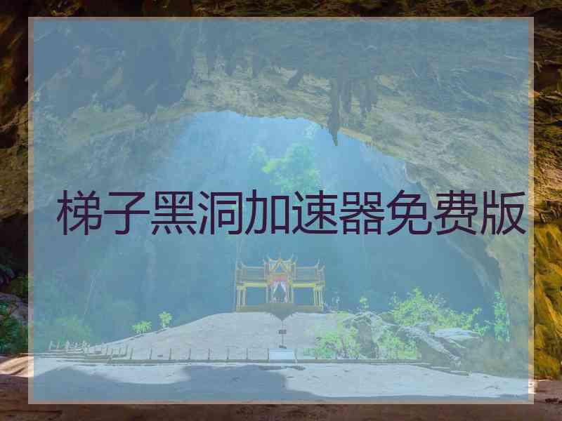 梯子黑洞加速器免费版