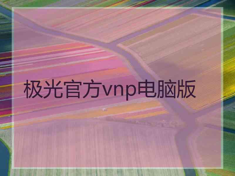 极光官方vnp电脑版