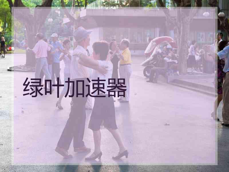 绿叶加速器