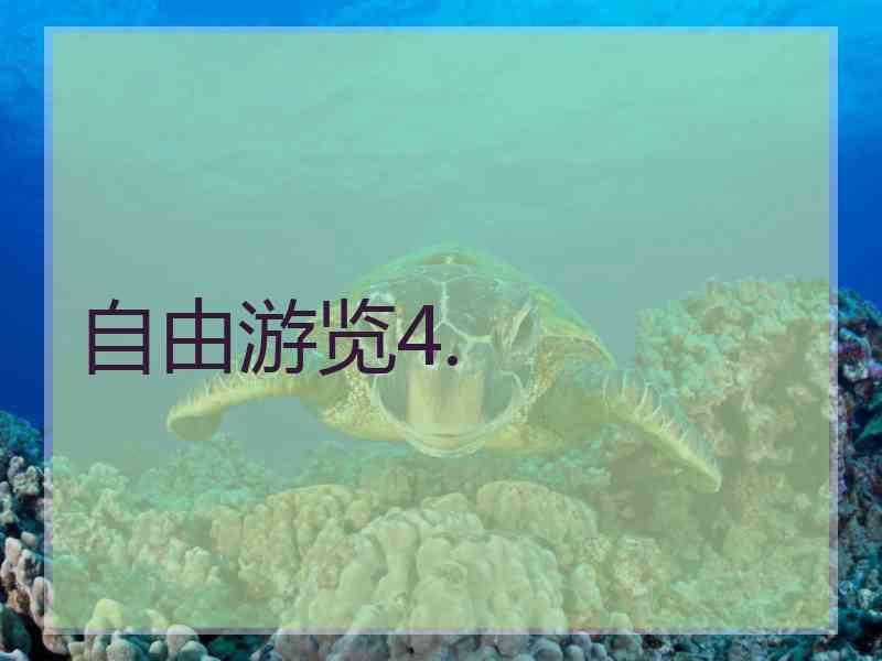 自由游览4.