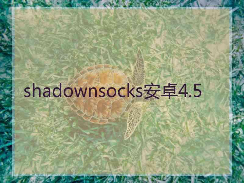 shadownsocks安卓4.5