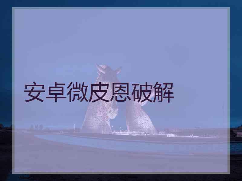 安卓微皮恩破解