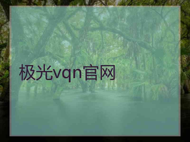 极光vqn官网