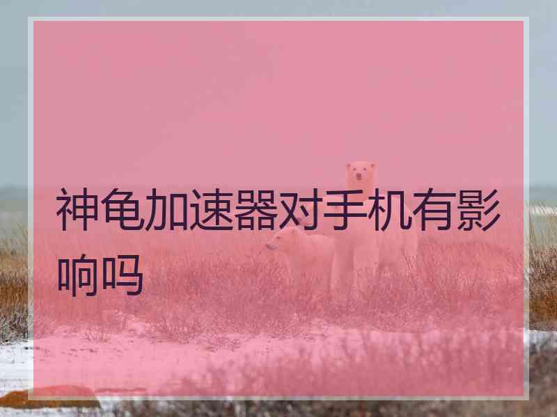 神龟加速器对手机有影响吗